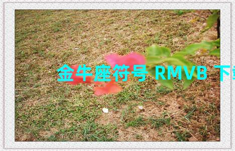 金牛座符号 RMVB 下载